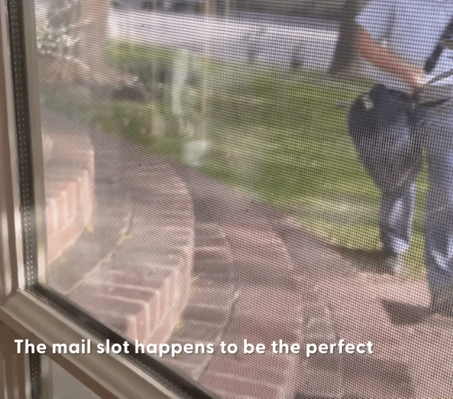 나는-오늘도-쳐들어오는-적군을-처리한다-1-이미지