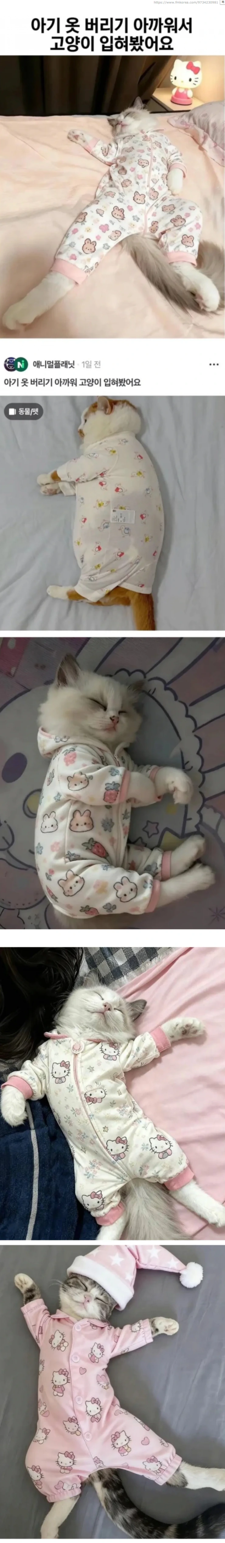 아기-옷-버리면-안-되는-이유-0-이미지