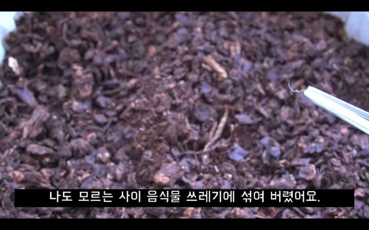 수세미에서-뿜어져나오는-플라스틱-(결국-우리-입으로...)-11-이미지