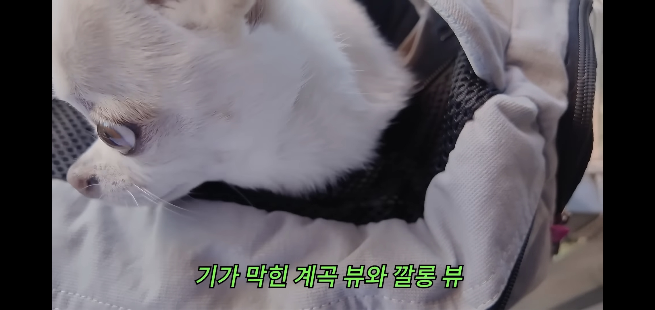 하말넘많-영상-보고-후회한다는-댓글.jpg-12-이미지