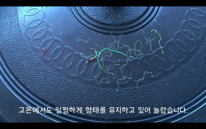 수세미에서-뿜어져나오는-플라스틱-(결국-우리-입으로...)-13-이미지