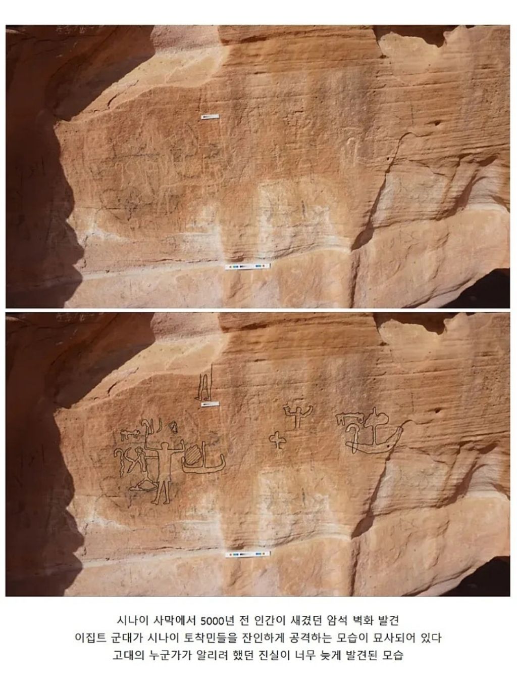 2026-새롭게-발견된-고고학-유적들-4-이미지