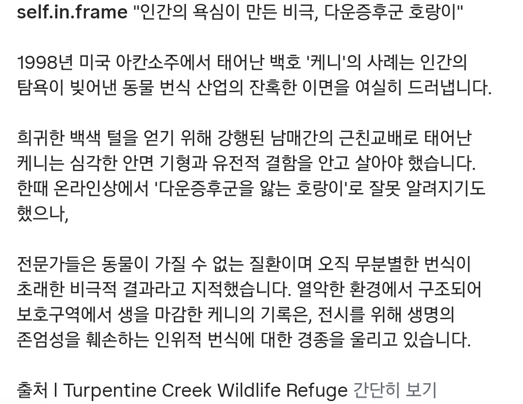 인간의-욕심때문에-남매간-근친교배로-태어난-다운증후군-호랑이-8-이미지