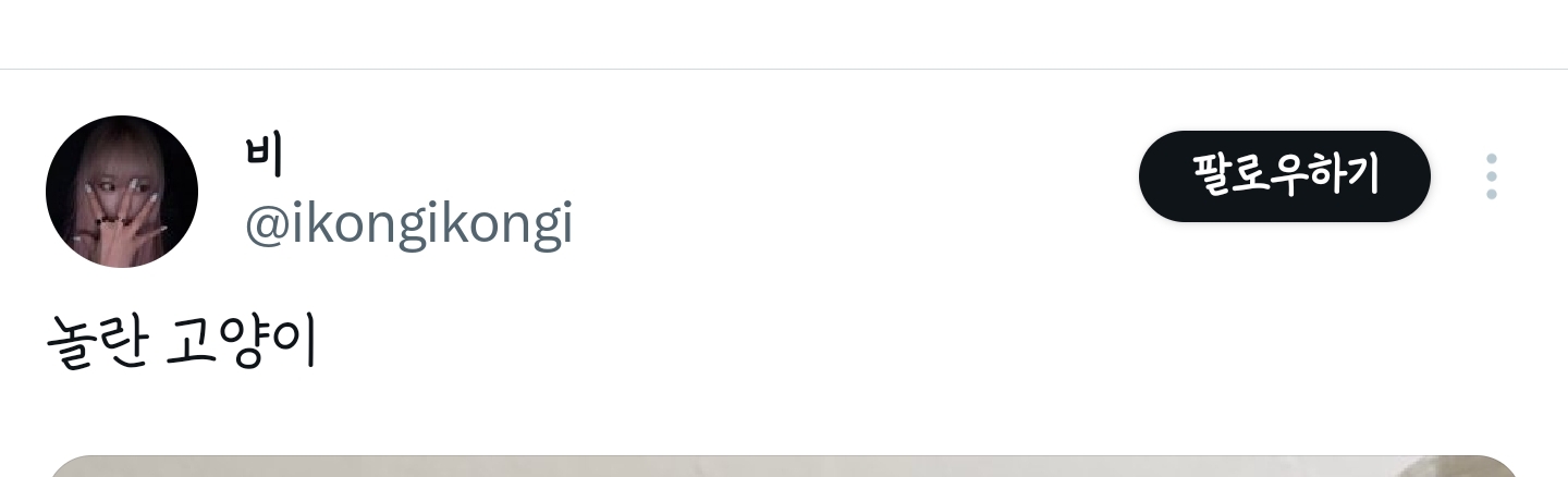 놀란-고양이-0-이미지