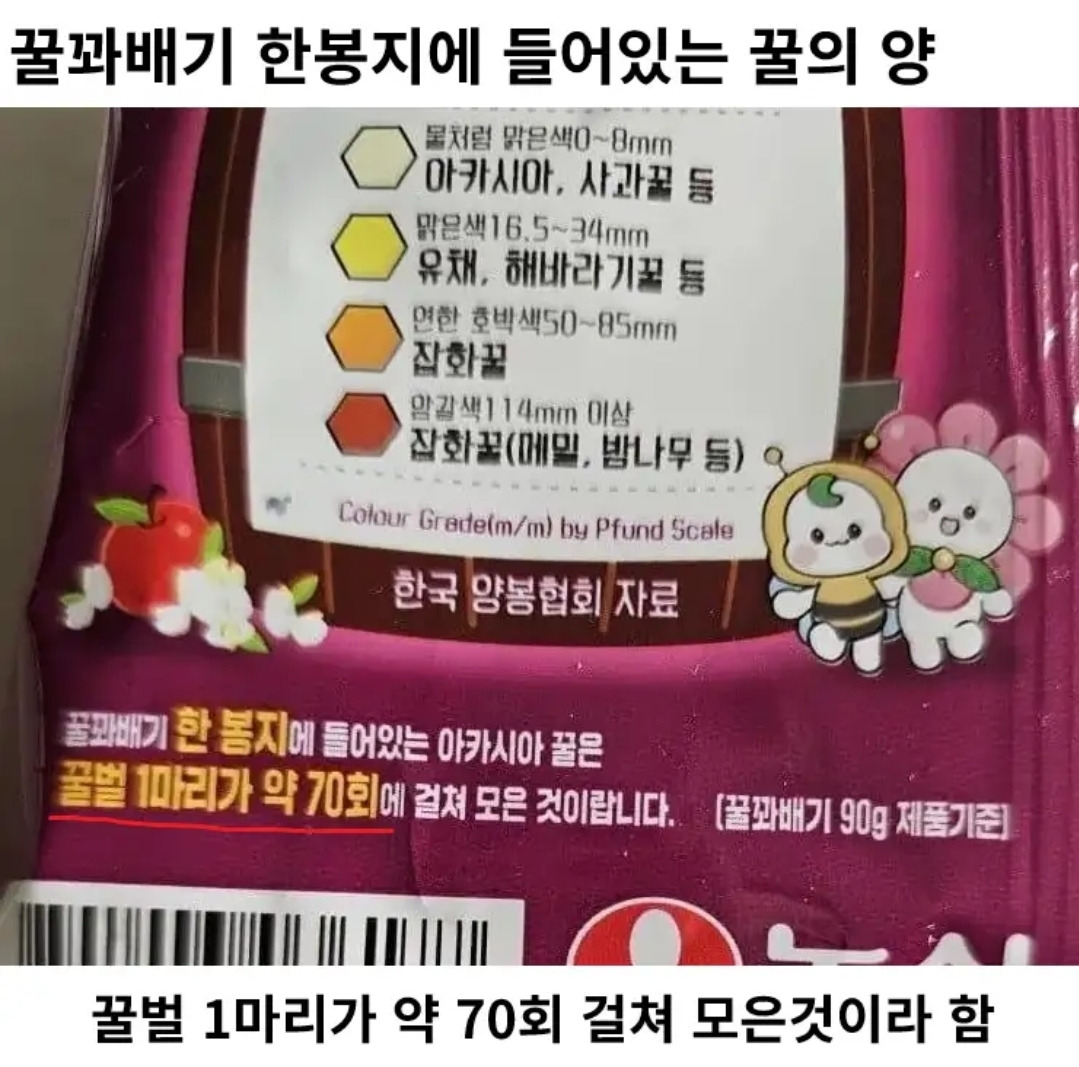 꿀꽈배기-한-봉지에-들어-있는-꿀의-양.jpg-0-이미지