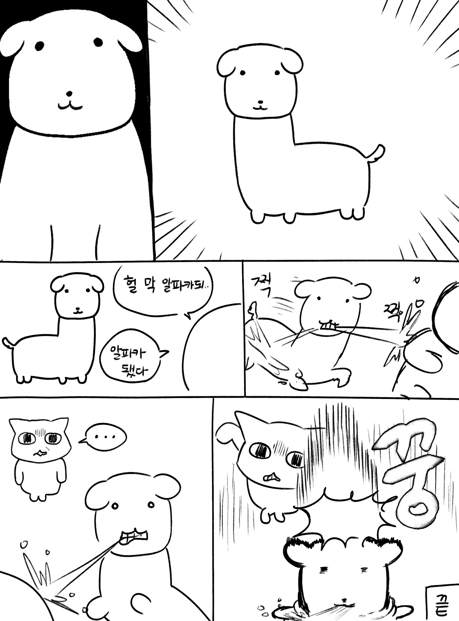 가나디-알파카됨-2-이미지