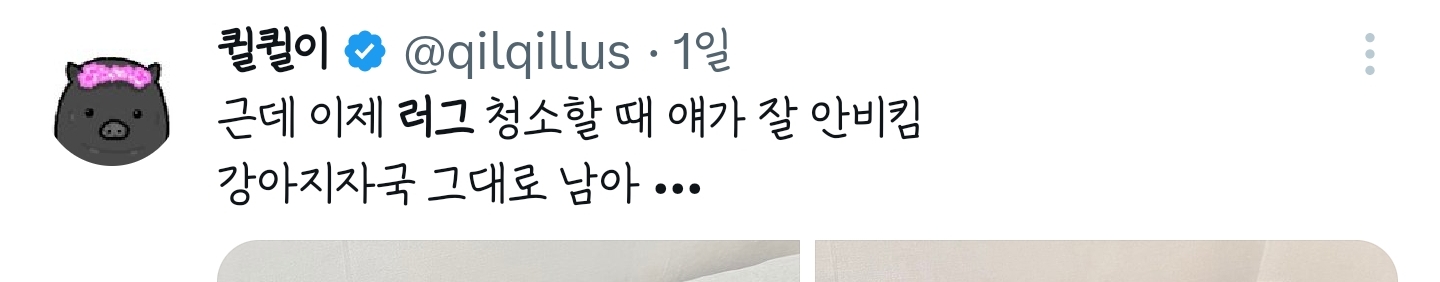 강아지자국-0-이미지