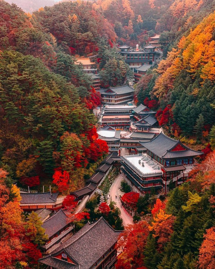 한국-최대규모의-절---단양-구인사-3-이미지