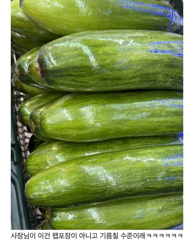 나-마트에서-야채포장하는-알바하는데-포장-ㄹㅇ-잘함-1-이미지