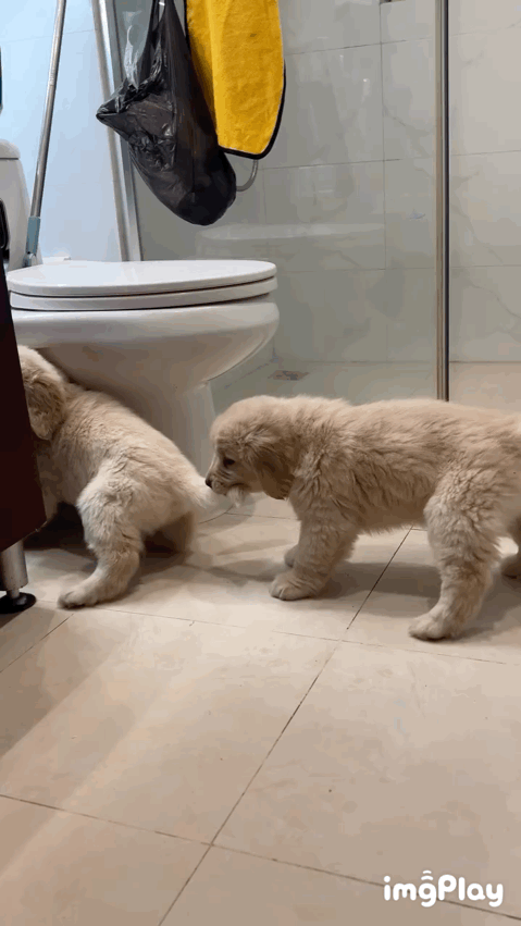 꼬순내-나는-화장실-0-이미지