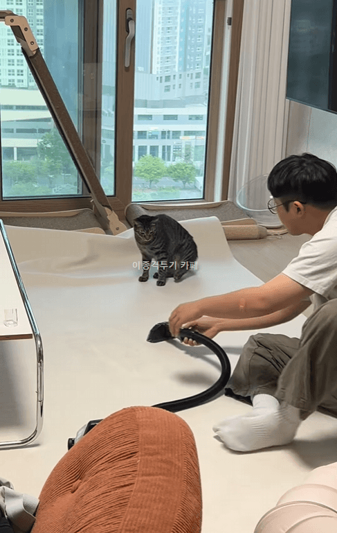 청소기-소리가-싫은-고양이-0-이미지