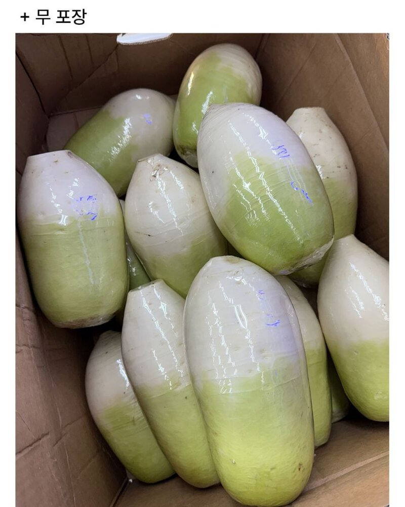 나-마트에서-야채포장하는-알바하는데-포장-ㄹㅇ-잘함-2-이미지