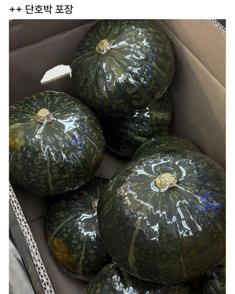 나-마트에서-야채포장하는-알바하는데-포장-ㄹㅇ-잘함-3-이미지