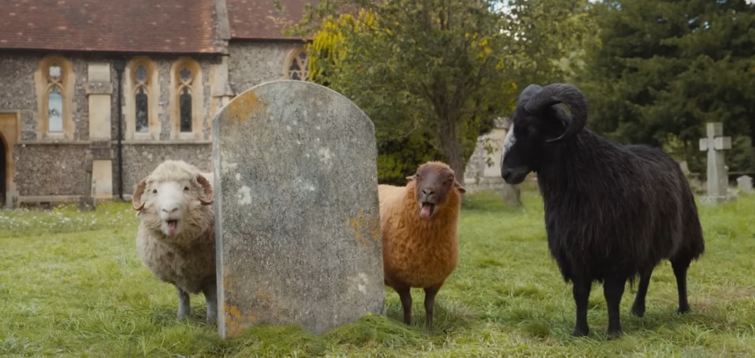 현재-평단-반응좋은-'양-탐정단'-영화-1-이미지