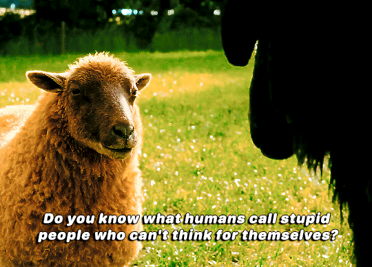 현재-평단-반응좋은-'양-탐정단'-영화-6-이미지