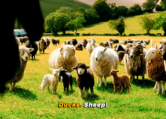 현재-평단-반응좋은-'양-탐정단'-영화-7-이미지