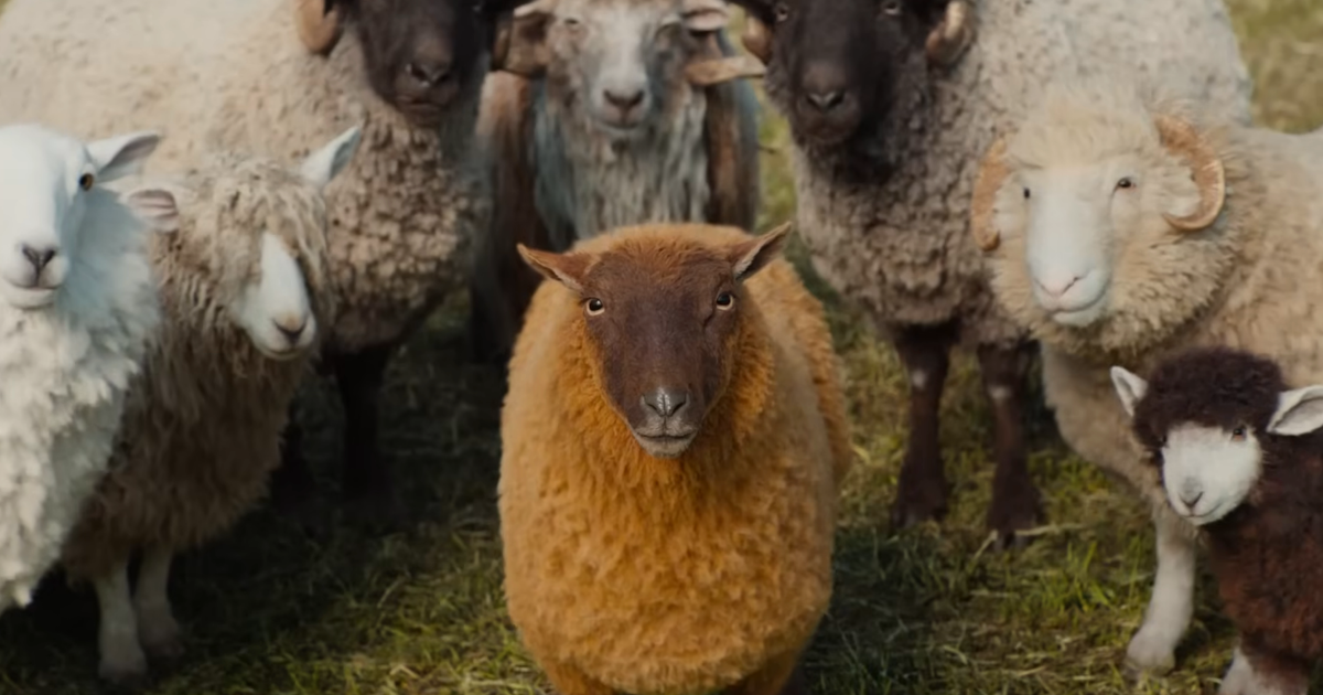 현재-평단-반응좋은-'양-탐정단'-영화-3-이미지