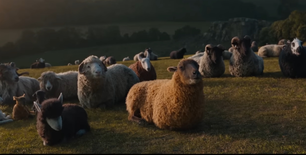 현재-평단-반응좋은-'양-탐정단'-영화-4-이미지