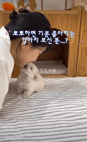 뽀뽀-공격하는-멍멍이-0-이미지