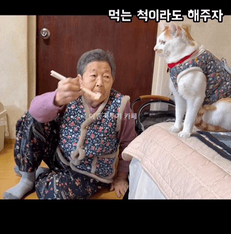 고양이에게-사라다-주는-할머니-2-이미지