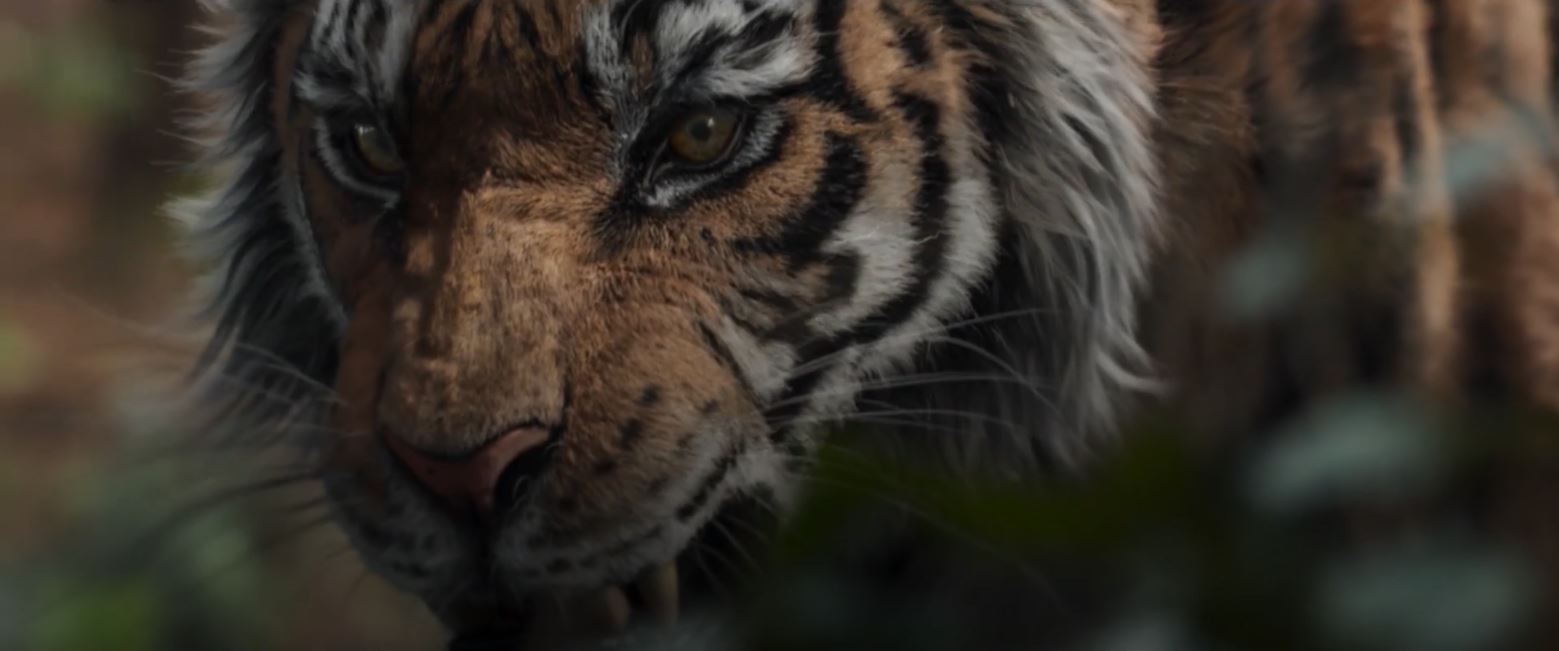 ＜왕과-사는-남자＞-수정된-호랑이-CG-모습-0-이미지