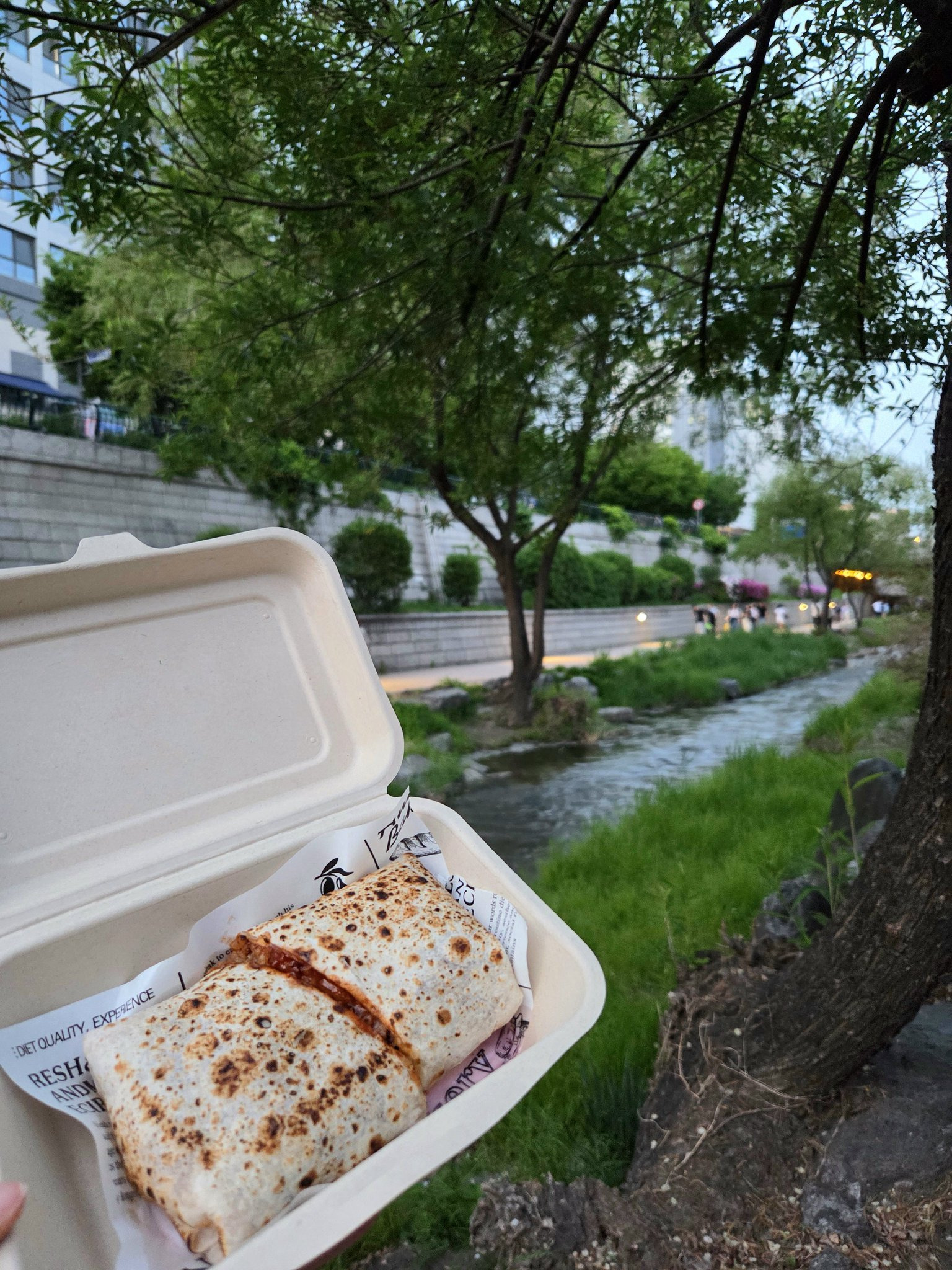 청계천-타코-먹방-진짜-좋은거네.-나-이제-알았네.x-2-이미지