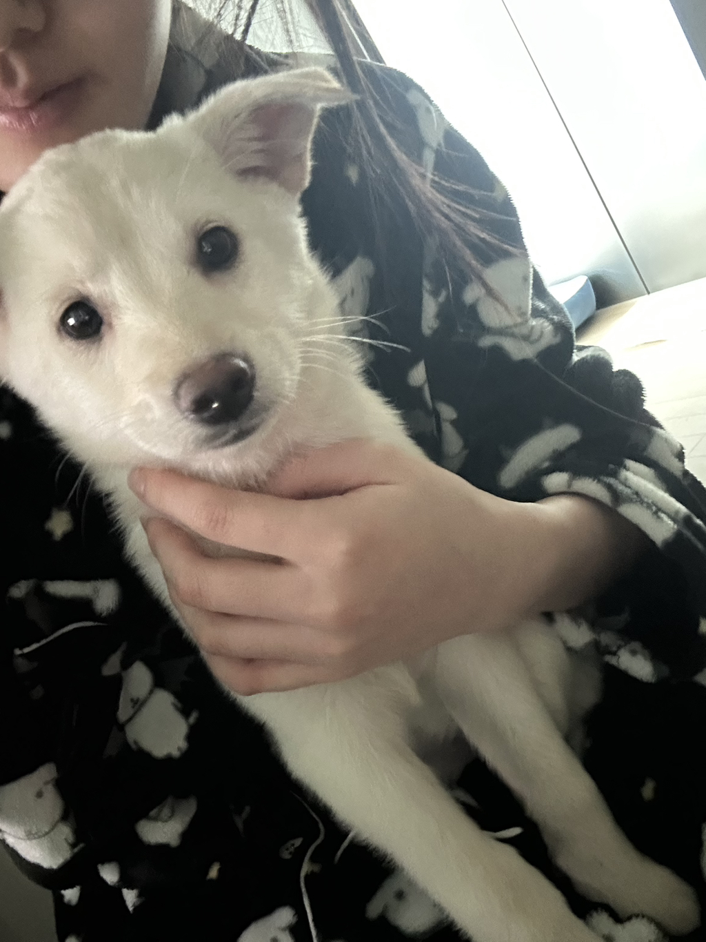 보호소에서-아가-데려왔다-5-이미지