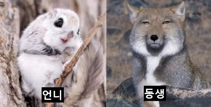 여동생이-기도-못-펴고-사는-집-0-이미지