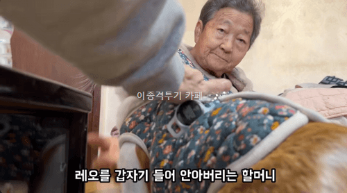 고양이에게-사라다-주는-할머니-5-이미지