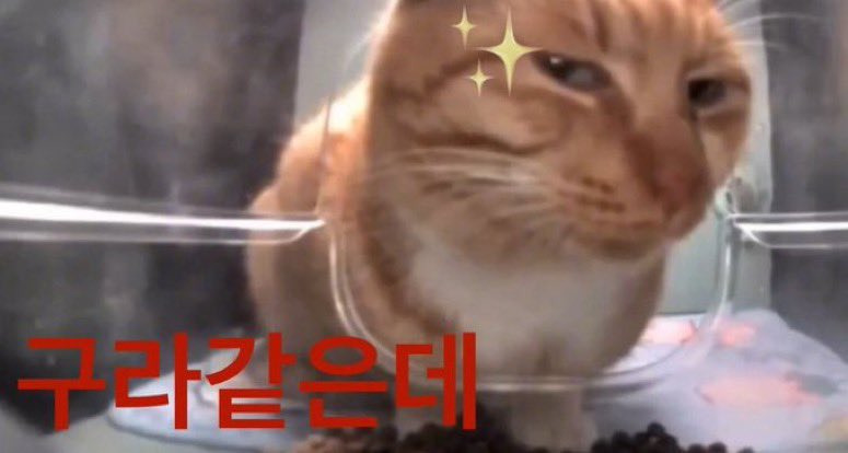 아무도-믿지-못하고-있는-드라마-＜허수아비＞-백현진-인물소개-1-이미지