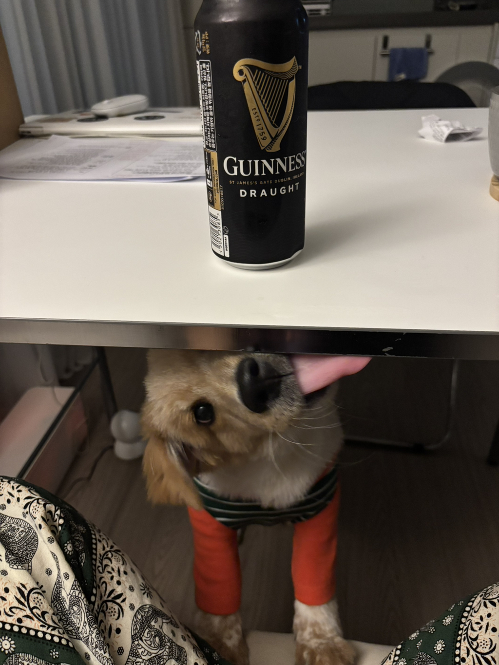 이것도-원숭이-시기야…?-유기견-출신이라-종은-몰라-ㅠ-5-이미지