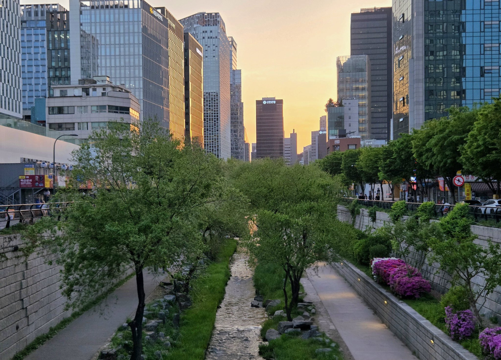 청계천-타코-먹방-진짜-좋은거네.-나-이제-알았네.x-3-이미지