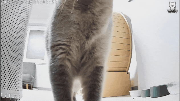 CCTV로-몰래-보는거-딱-걸림-2-이미지