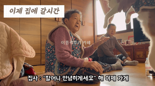 고양이에게-사라다-주는-할머니-6-이미지