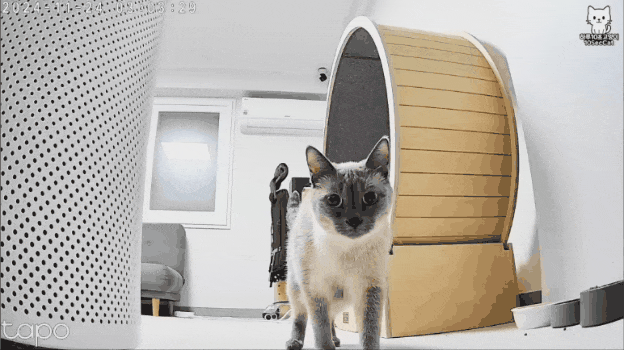 CCTV로-몰래-보는거-딱-걸림-1-이미지