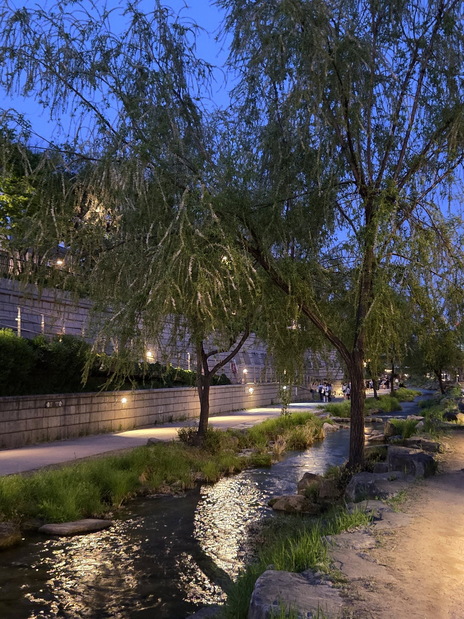 청계천-타코-먹방-진짜-좋은거네.-나-이제-알았네.x-4-이미지