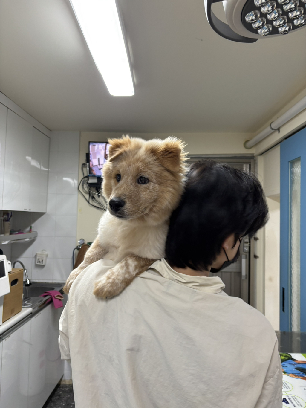 이것도-원숭이-시기야…?-유기견-출신이라-종은-몰라-ㅠ-21-이미지