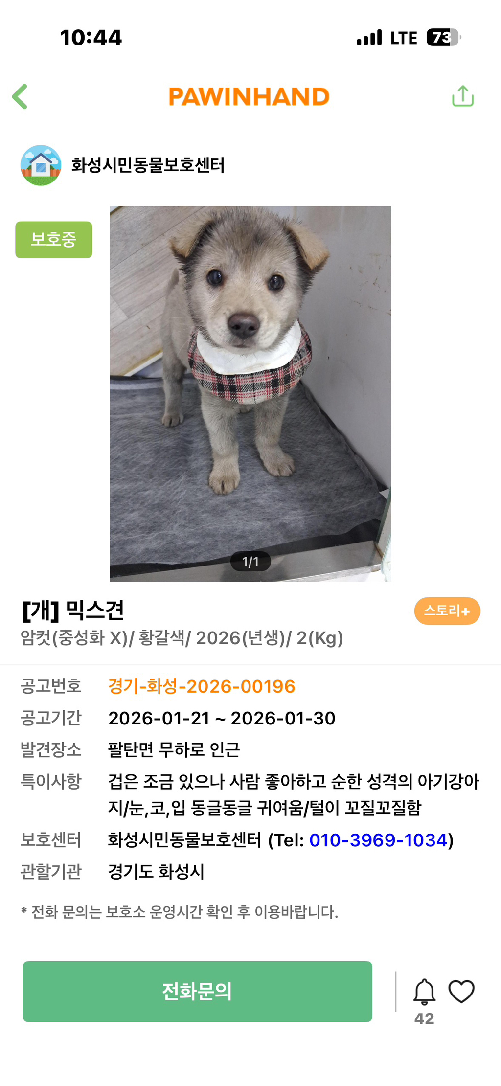 보호소에서-아가-데려왔다-8-이미지