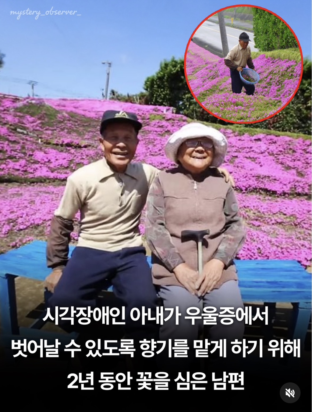 시각장애인-아내가-우울증에서-벗어날수있도록-향기를-맡게-하기위해-2년동안-꽃을-심은-남편-0-이미지