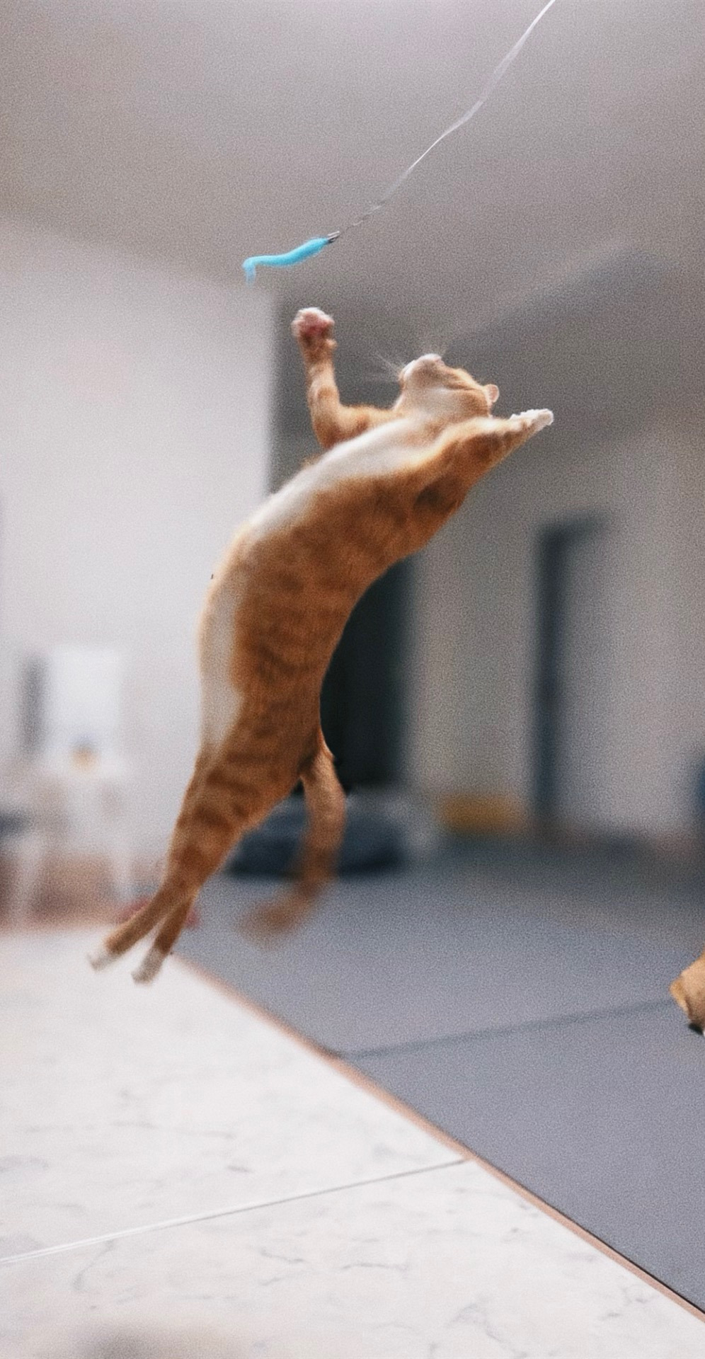 신나는-사냥놀이-또는-비행연습-4-이미지