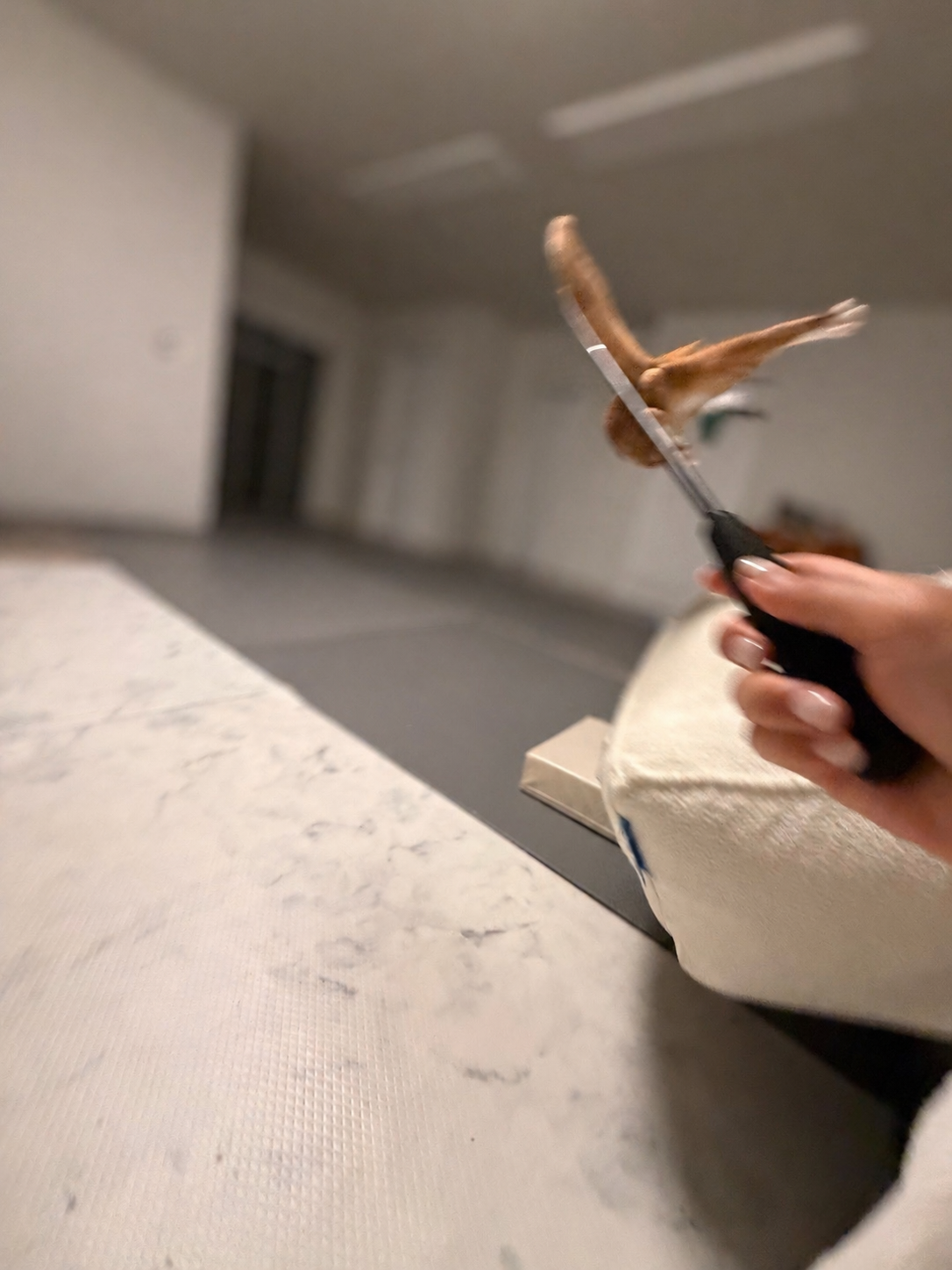 신나는-사냥놀이-또는-비행연습-3-이미지