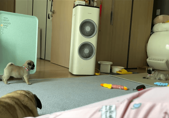 세상-하찮은-녀석들-1-이미지