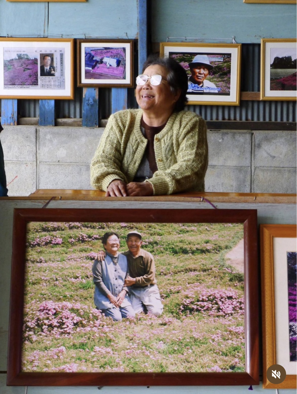 시각장애인-아내가-우울증에서-벗어날수있도록-향기를-맡게-하기위해-2년동안-꽃을-심은-남편-2-이미지