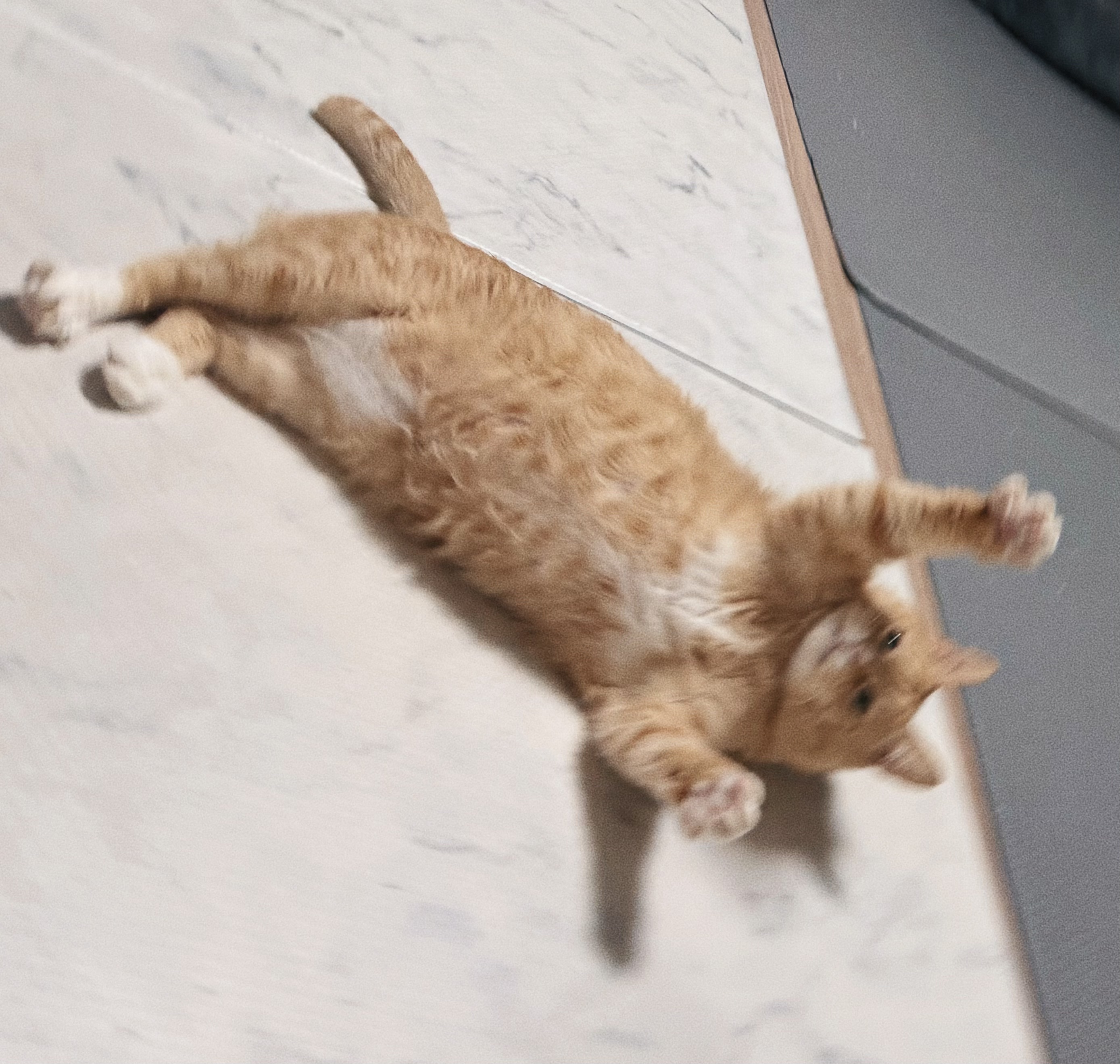 신나는-사냥놀이-또는-비행연습-13-이미지