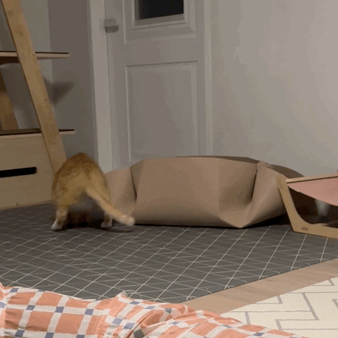 신나는-사냥놀이-또는-비행연습-17-이미지