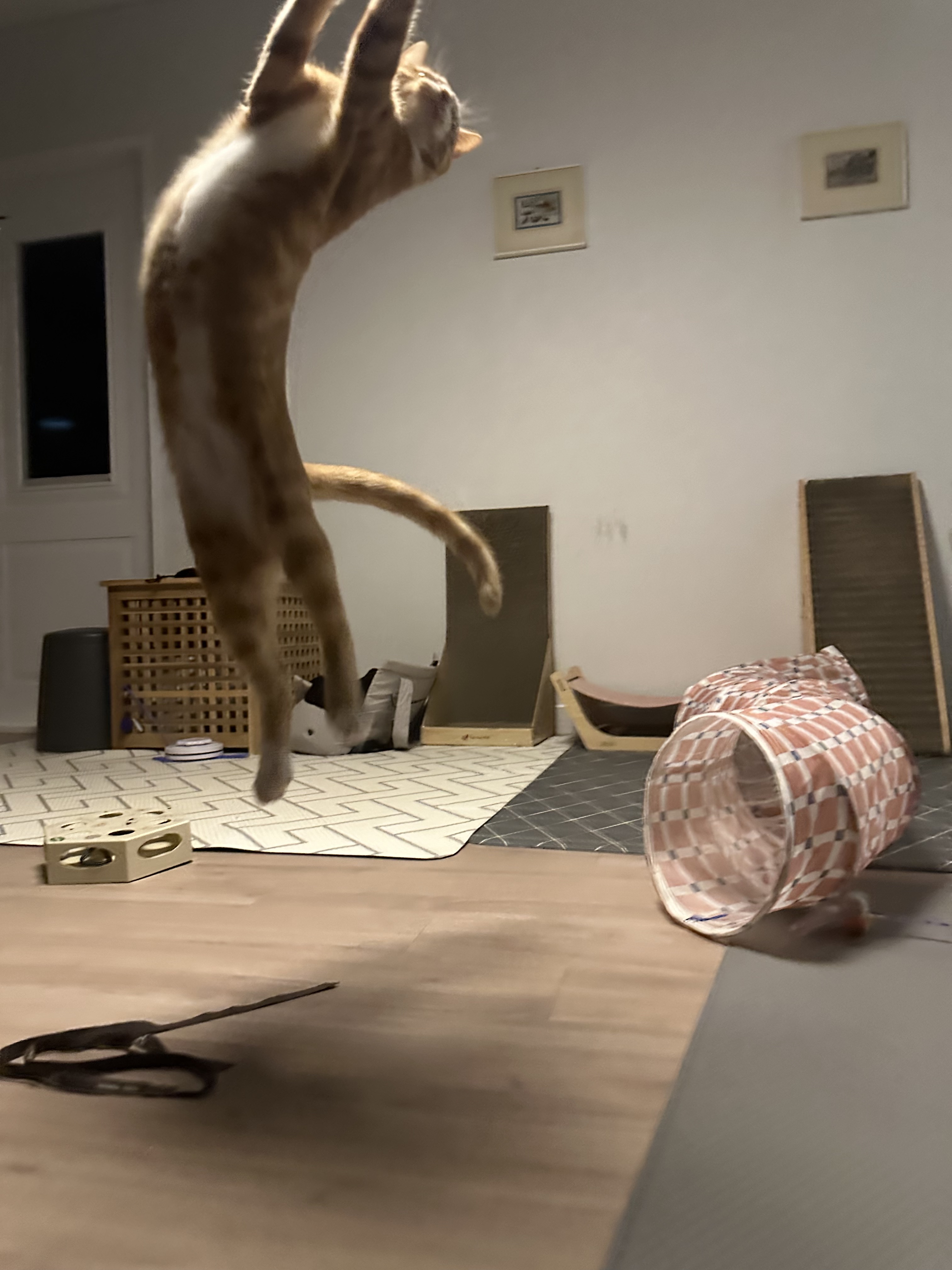 신나는-사냥놀이-또는-비행연습-10-이미지