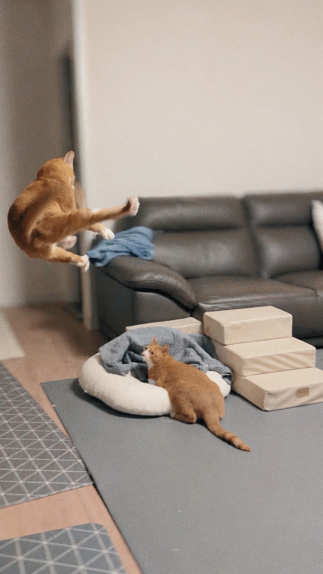 신나는-사냥놀이-또는-비행연습-2-이미지