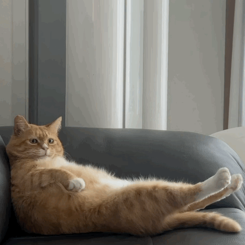 신나는-사냥놀이-또는-비행연습-18-이미지