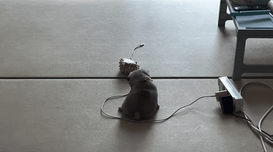 세상-하찮은-녀석들-0-이미지