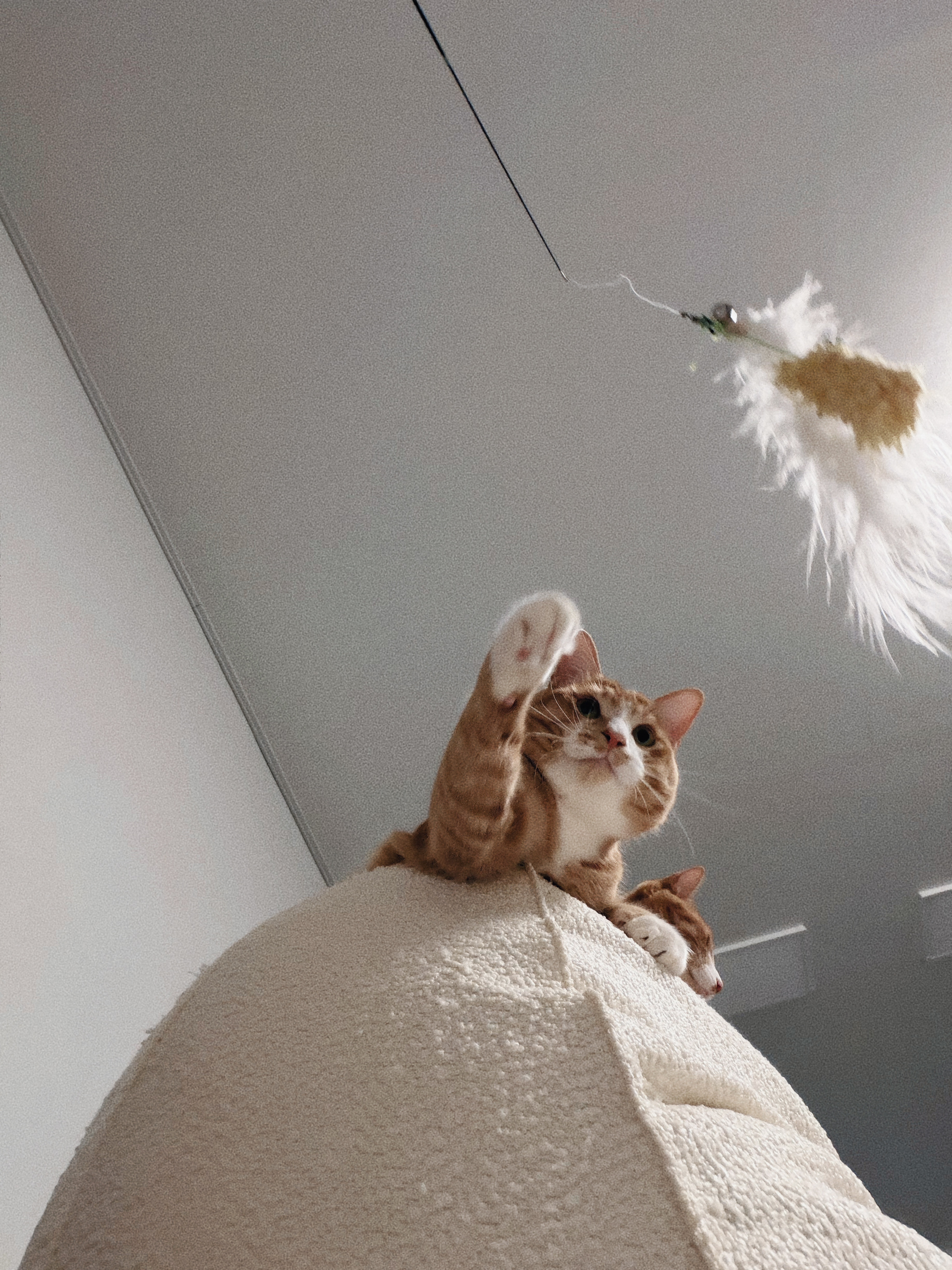 신나는-사냥놀이-또는-비행연습-7-이미지